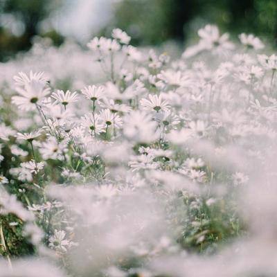 4688美高梅登录中心